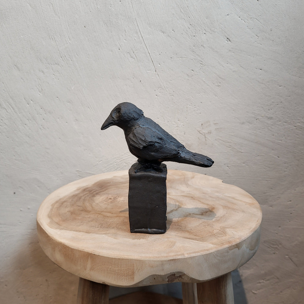 Fågel – Liten