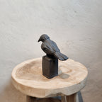 Fågel – Liten