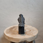 Fågel – Liten