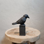 Fågel – Liten