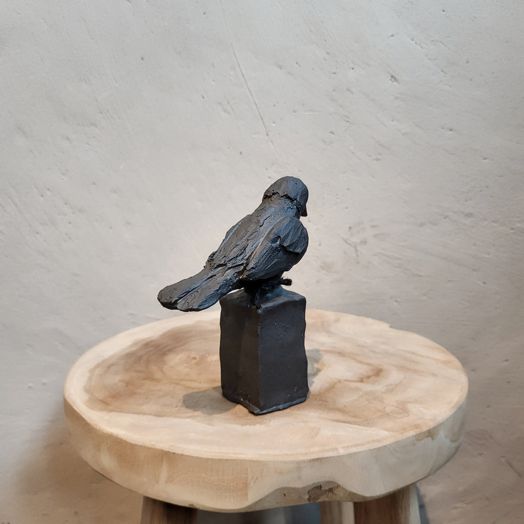 Fågel – Liten